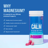 Natural Vitality, Calm Magnesium Citrate Gummies, Raspberry-lemon Flavor - 120 Ct