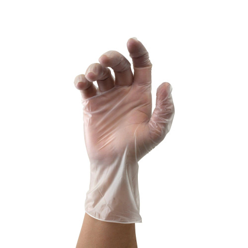 Large Non-Sterile Vinyl Glove