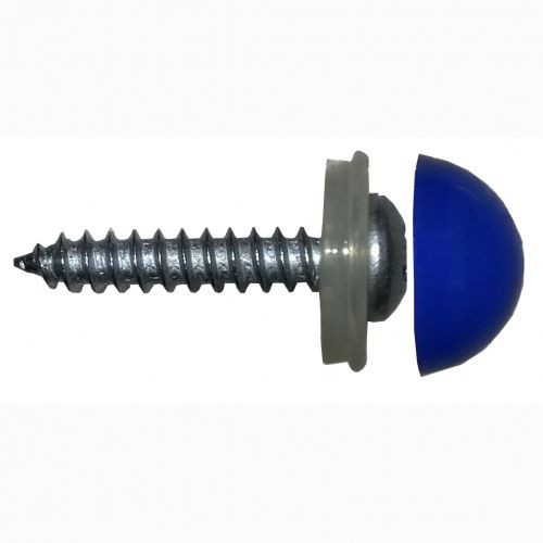 Domed Number Plate Screws (Blue) (Pack of 100 pcs)
