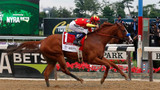 Triple Crown WInner Justify!