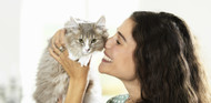 [IE] Pet Dental Month – Cats can get bad breath too!