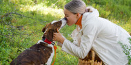 [FR]Signes de problèmes dentaires chez les chiens et les chats : ce qu'il faut observer et quand agir