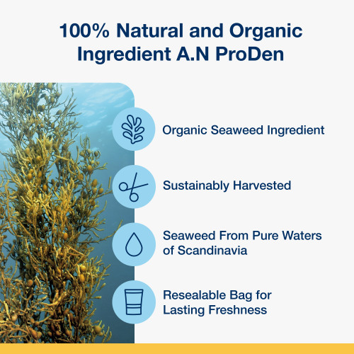 Dental Care Bones - Bacon Flavour