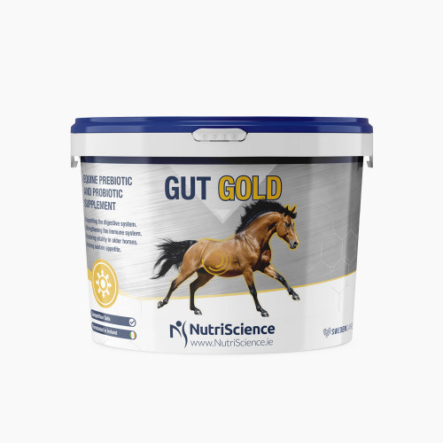 Gut Gold is an equine pre and probiotic supplement that contains a balanced combination of ingredients and live yeast to help achieve gut health.