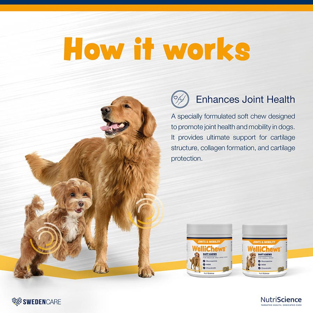 WelliChews™ Joints & Mobility Soft Chews