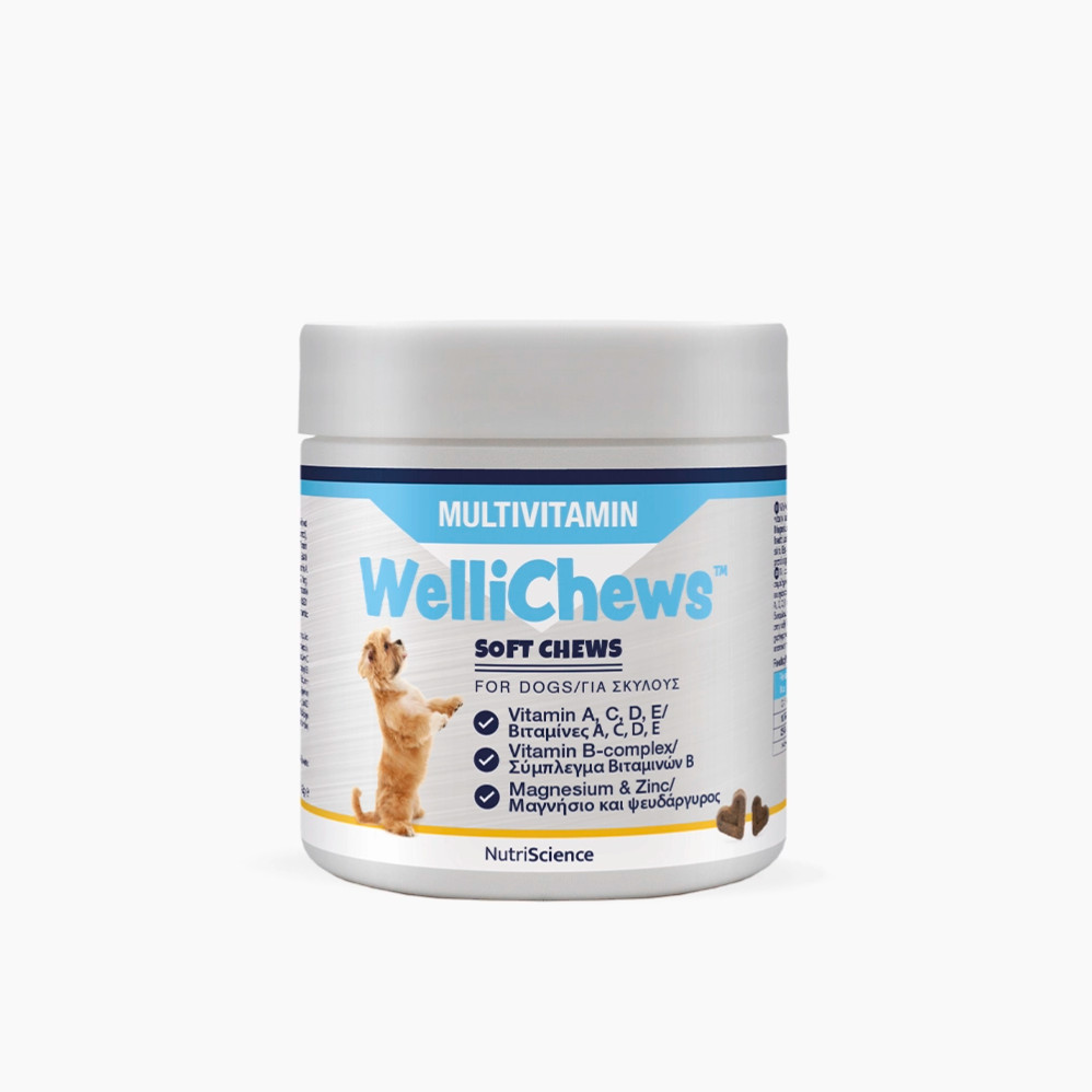 [GR]WelliChews™ Multivitamin Soft Chews