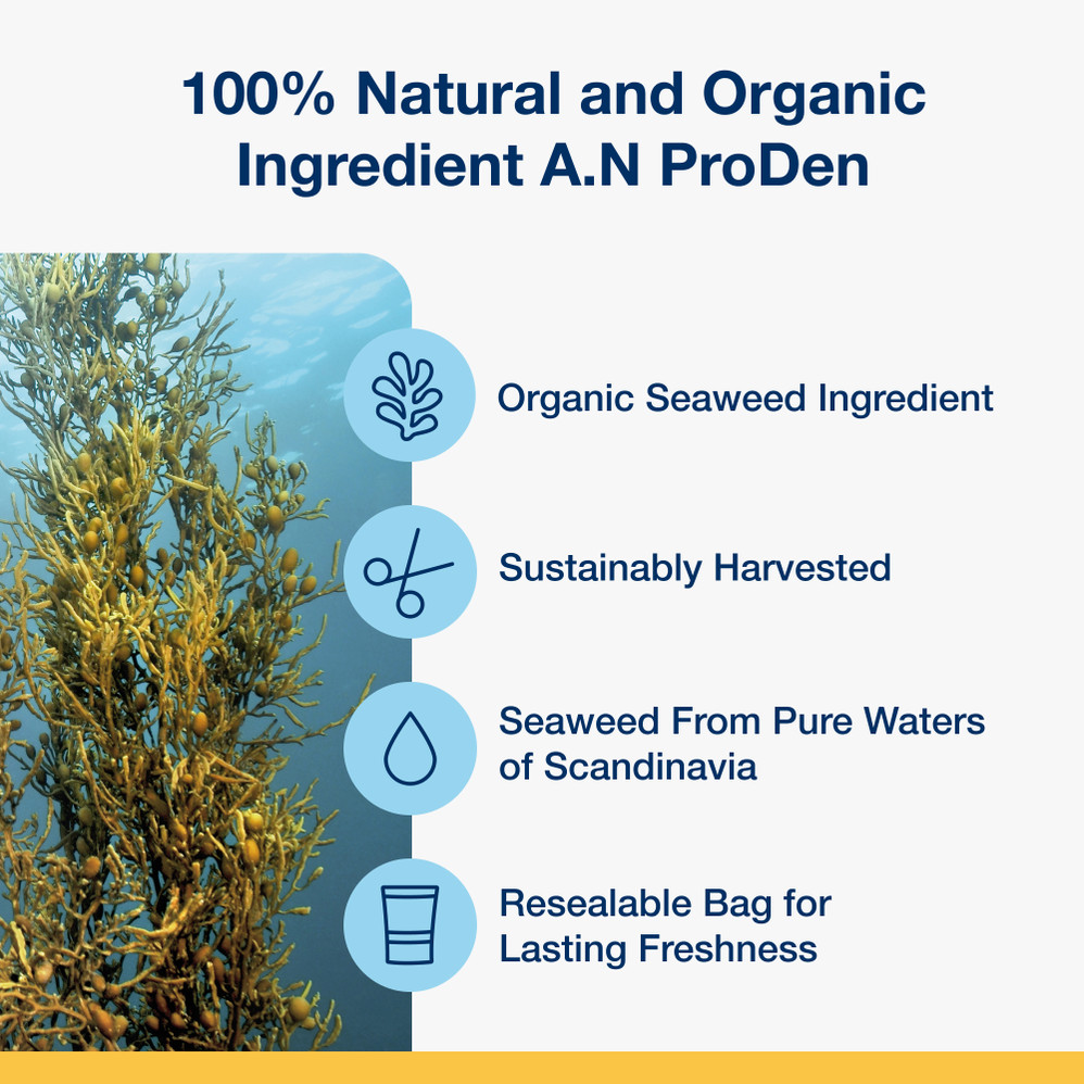 Dental Care Bones - Bacon Flavour