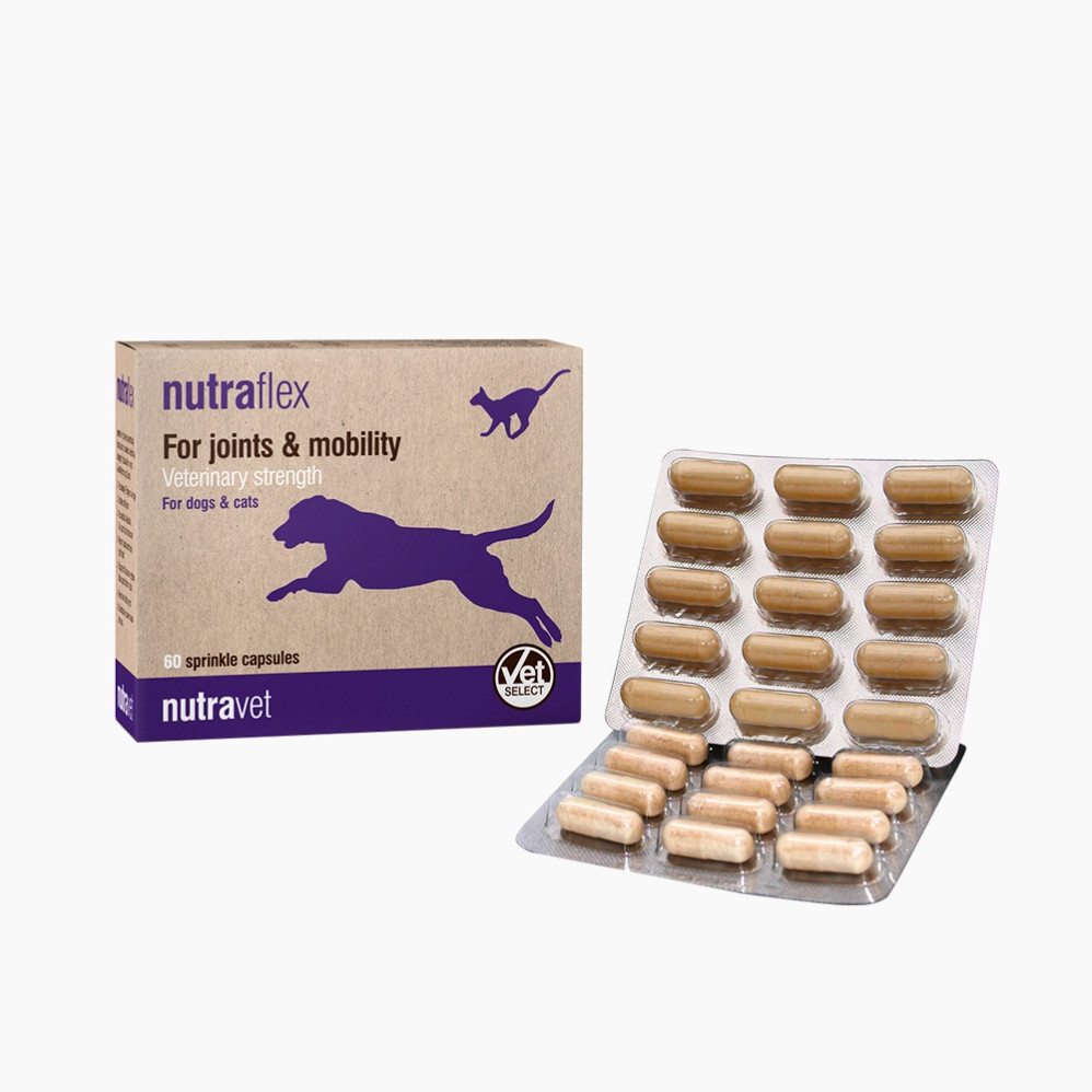 [GR]Nutraflex