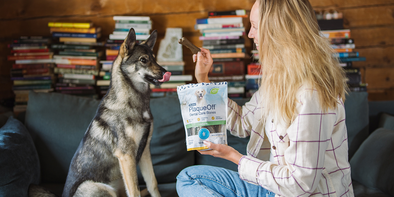 Choosing the Right ProDen PlaqueOff® Product for Your Dog - Swedencare IE
