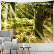 Discover a Collection of Cheap Tapestries