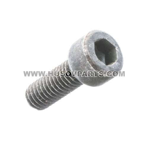 HUSQVARNA Screw Mc6s 4x12 725529155 Image 1