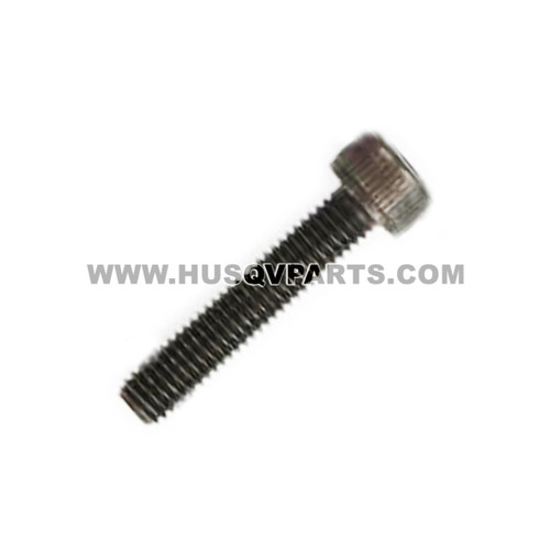 HUSQVARNA Screw Mc6s 5x30 725533555 Image 1