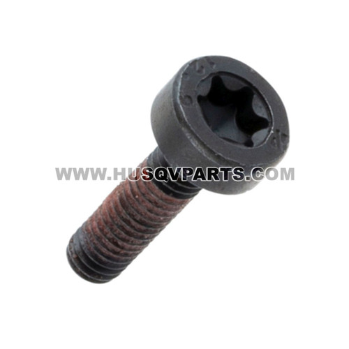 Husqvarna 510020602 - Screw - Image 1 