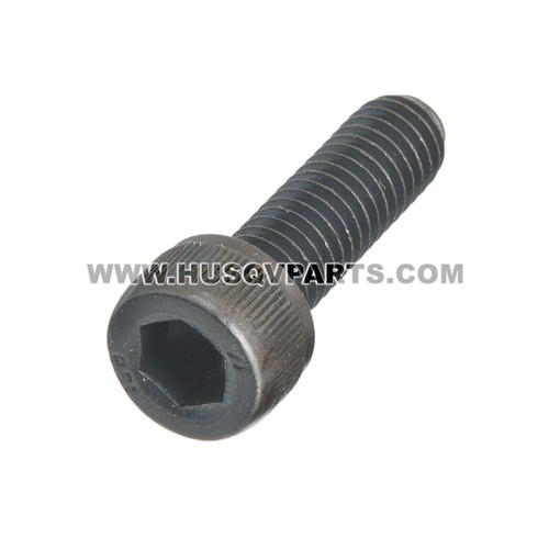 HUSQVARNA Screw Mc6S 6X20 725537055 Image 1