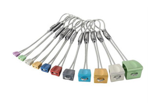 Wallnut Set Wallnut Set