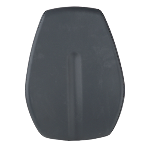 Seat Back Recumbent