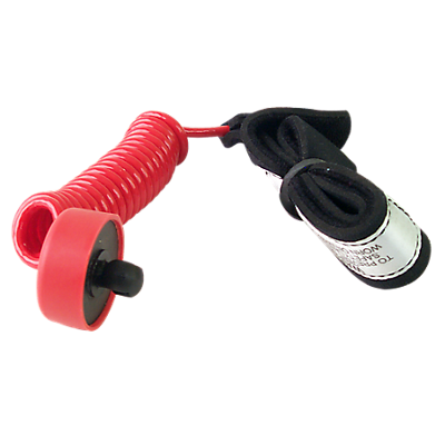 Safety Lanyard (Plug-In), Landice