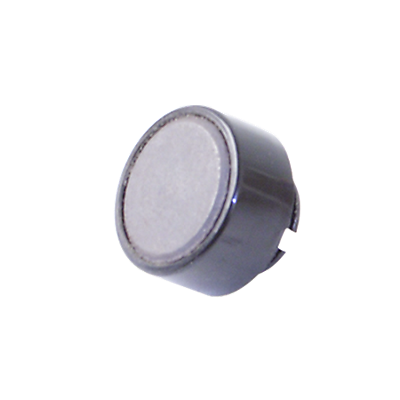 Flywheel Magnet, Dx900