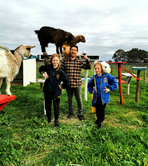 Happy family laughing and feeding friendly farm goats at Shrieking Witch Wines kid-friendly winery in Light Pass, Barossa Valley.