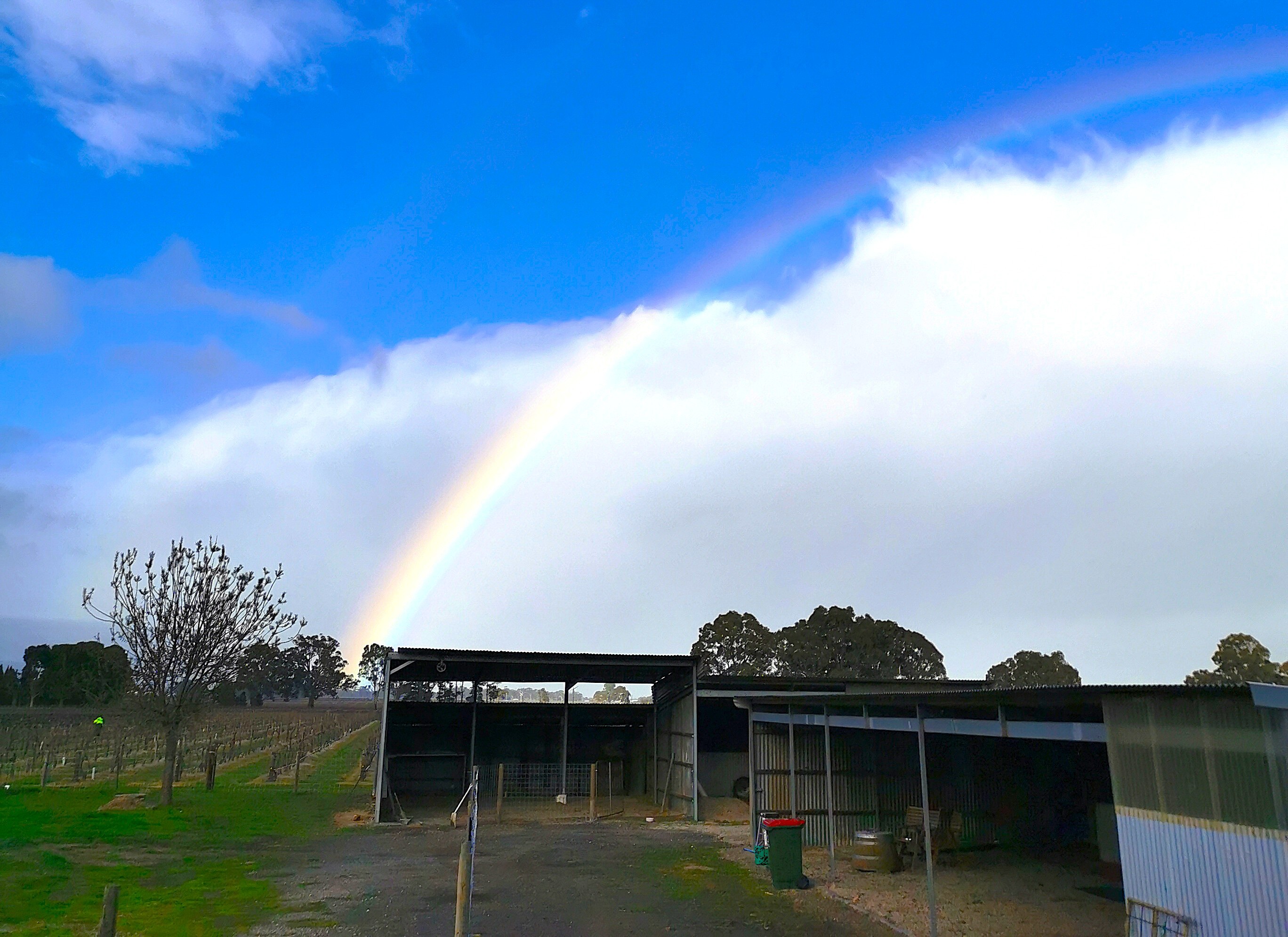 Barossa animal farm