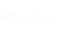 Stranger of Paradise Logo