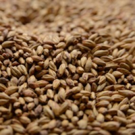 Special Roast Malt