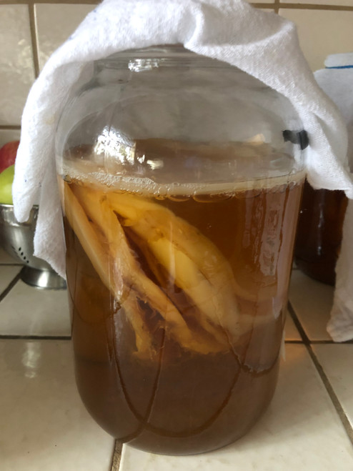 Kombucha