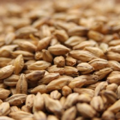 Weyermann Beechwood-Smoked Malt (Rauchmalz)