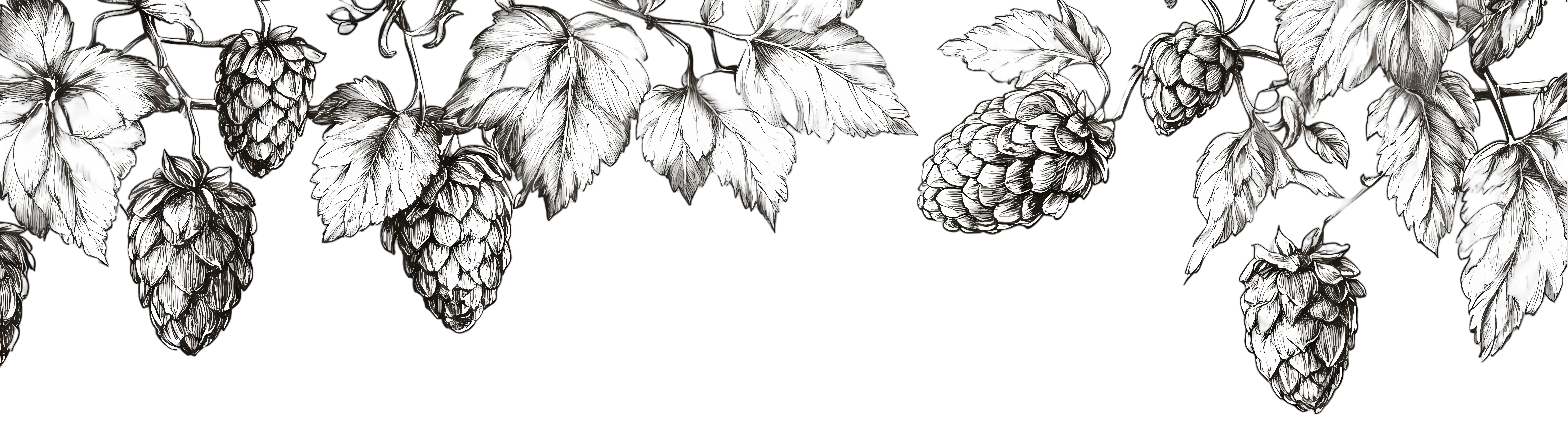 Welome to Oak Barrel Winecraft! If you can't find what you are looking for on our website just give us a call 510-849-0400