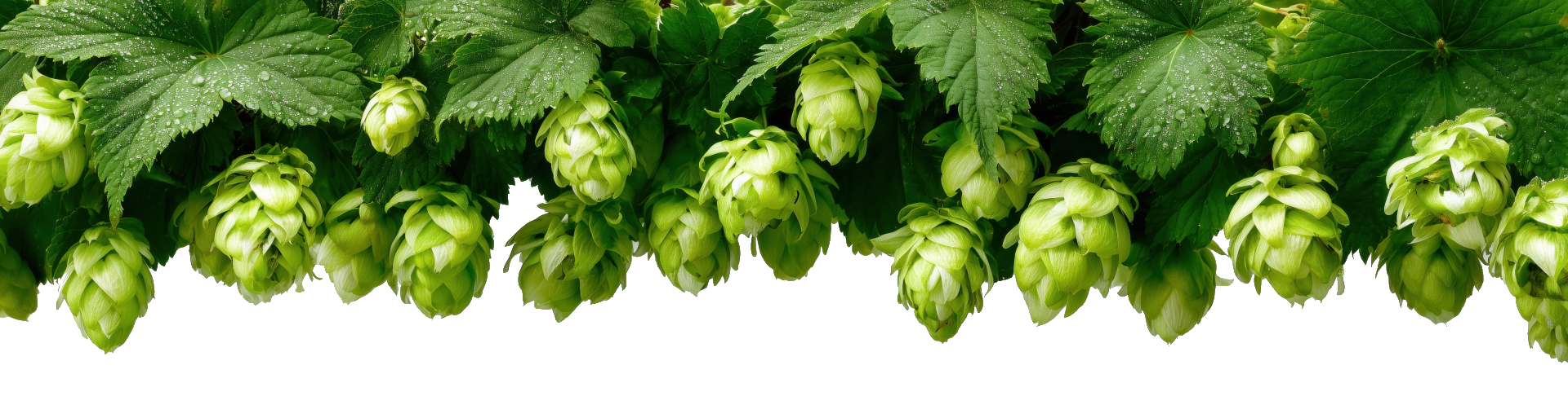 Welome to Oak Barrel Winecraft! If you can't find what you are looking for on our website just give us a call 510-849-0400