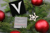 NINJA STAR ORNAMENT