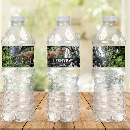 Dinosaurs Birthday Drink Labels - Personalised For You | Design 20423