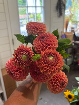 4 week mixed bouquet CSA by Flowerhouse