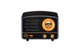 bluetooth speaker  + fm radio  - black