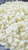 Lavender Arnica + CBD 500 mg Magnesium Chloride Flakes
