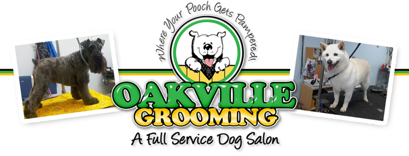 Oakville Grooming in Arnold Missouri
