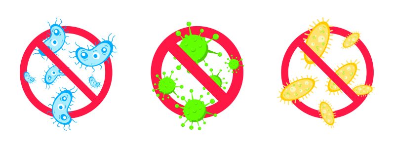 Unlock Your Immune System with CBD and Fight Off Bacteria + CBD Discount For You