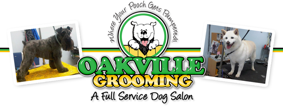Oakville Grooming in Arnold Missouri
