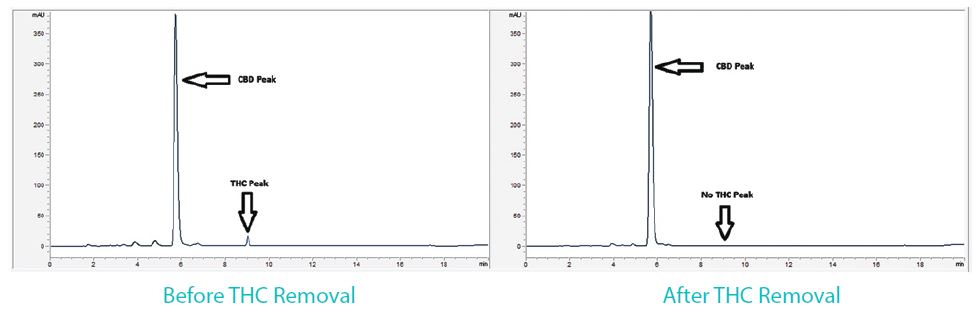 ​CBD Oil: Essential Information to Know Before You Shop