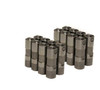 Delphi LS7 Lifters - (16)