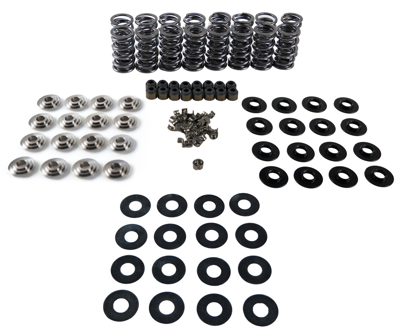 Platinum LT1 Dual Spring Kit .660in Lift Gen V
