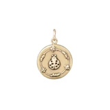 Ladybug Medallion