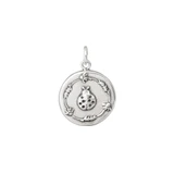 Ladybug silver