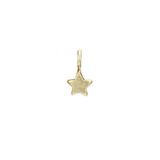 Star sculpted charm