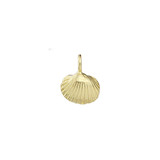 Cockle Seashell Sculpted charm