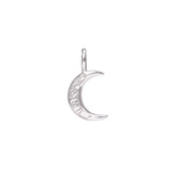 Moon silver charm