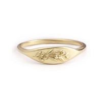 Olive Branch Signet Ring - 14K Gold