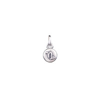 Capricorn icon charm in silver