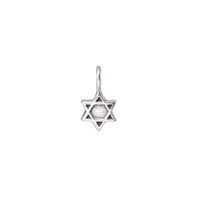 Star of David sculpted charm