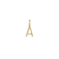 A Bronze Letter Charm